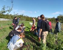Groupe en train d'observer une planche avec mulch de broyat