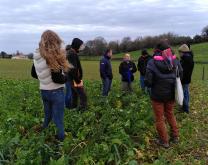 Groupe d'agriculteurs échangeant au milieu d'un couvert végétal développé 
