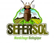 Logo SEFerSol
