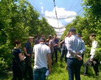 groupe dephy dans les vergers autrichiens