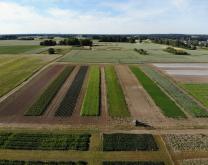 Photo aérienne du dispositif expérimental du projet Agrosem sur le site de Brain