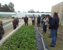 Groupe dephy et des partenaires devant des plantes de services