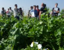 Tour de plaine avec les agriculteurs engagés dans le groupe