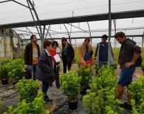 Rencontre entre producteurs du réseau accompagnés par une conseillère technique. 