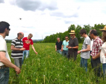 Groupe dans un champ