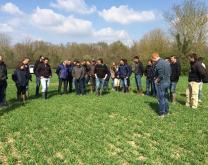 Réunion du groupe DEPHY ECOPHYTO OCEALIA - tour de plaine collectif