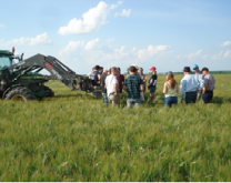 Sur cette photo vous pouvez regarder un groupe d'agriculteurs autour d'un télécospique avec lequel ils ont extrait un bloc de terre. Ils observent la strucutre du sol de ce bloc (les pores et galeries) ainsi que les racines et la faune macroscopique (vers de terre et carabes)