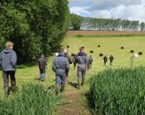 Groupe Dephy dans une culture fourragère fauchée. Paysage : arbres et haies