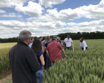 Groupe d'agriculteurs lors de notre visite à la station expérimentale Arvalis. 