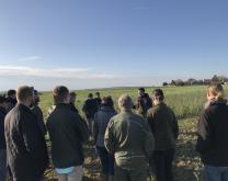 Groupe d'agriculteurs réunis pour échanger sur le désherbage mécanique