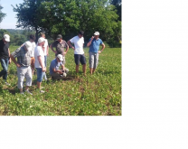 Groupe DEPHY Agriculture de conservation 79