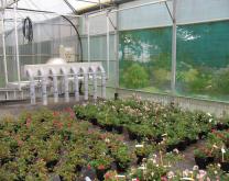 Projet RosaBip - Prototype d'aspiration testé pour la lutte physique au CATE