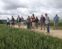 Sortie du groupe DEPHY : Echange de pratique Chez Hugues Marteau, groupe DEPHY 10-52