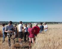 Groupe Dephy en journée technique sur parcelle de blé