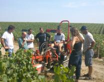 Discussion animée sur les stratégies d'entretien du sol et le choix des densités de plantation entre les membres du groupe