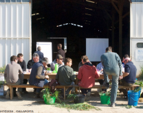 groupe DEPHY Plaines et marais mouillés en plein comptage de céréales à paille