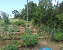 Système Agro-écologique