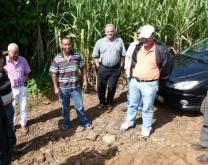 groupe Dephy Ferme canne à sucre Ile de la Réunion