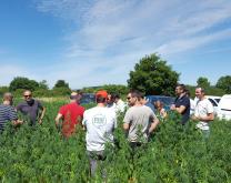 Groupe Agilemc2 dans une parcelle de chanvre