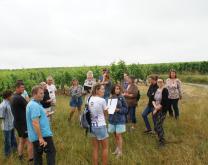 Journée découverte des plantes pour soigner la vigne