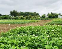 Vue d'ensemble du projet (à gauche le SDR, à droite le SBI)