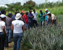 Groupe - Journée technique