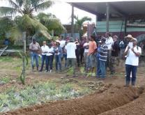 Groupe DEPHY FERME LEGUME MARTINIQUE 