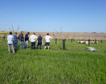 Photo groupe DEPHY dans une parcelle de couverts paturee par des moutons
