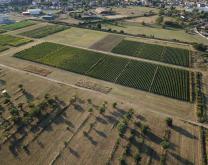 Site de l'Unité Expérimentale Vigne Bordeaux