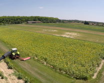 Vue du dipositif par drône
