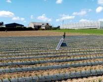 Site Caté - parcelle BREIZHECOLEG