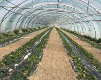 vue d'un tunnel aménagé