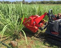 Désherbage mécanique de l'interrang avec tondobroyeur