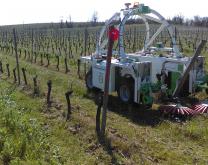 robot de binage Ted Naïo Technologies en action sur le site de Gaillac
