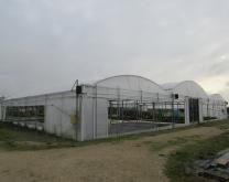 Multichapelle plastique utilisée pour le projet HORTIPEPI 2 au CDHRC