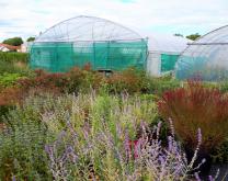 Tunnel Hortipot 2 Astredhor Sud-Ouest