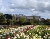 Station d'expérimentation Est Horticole