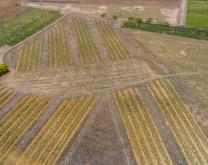 photo de la parcelle