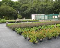 Dispositif Ecophyto Hortipépi 2  - Vue générale (2018)