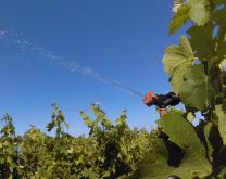 Tête de pulvérisation fixe en action