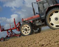 Désherbage localisé des betteraves