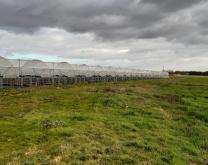 Exploitation de fraises en jardins suspendus