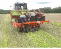 photo tracteur dans champ