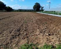 Parcelle expérimentale.