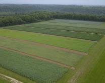 Dispositif Grandes Cultures bio Autonome de Boigneville - vue aérienne printemps 2019