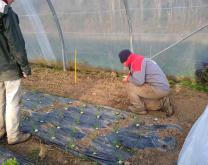 Photo de l'intérieur des serres