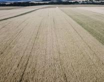 Photographie d'une parcelle