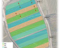 Site PEPSVI Wintzenheim - Projet BEE - photo annotée de parcelle