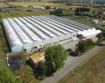 Vue d'ensemble de l'entreprise sud culture