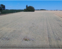 Parcelle de l'exploitation